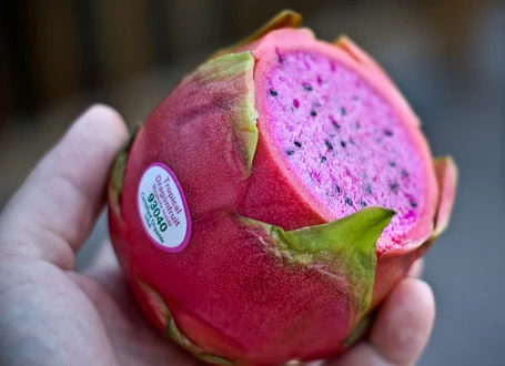 Dragonfruit, Dragon Fruit, Is That A Pitaya In Your Pocket?