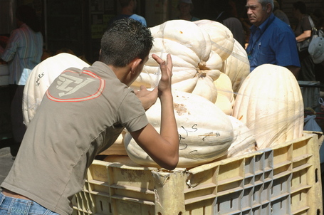 Pushing gourds in a cart at Mahane Yehuda Market in Jerusalem