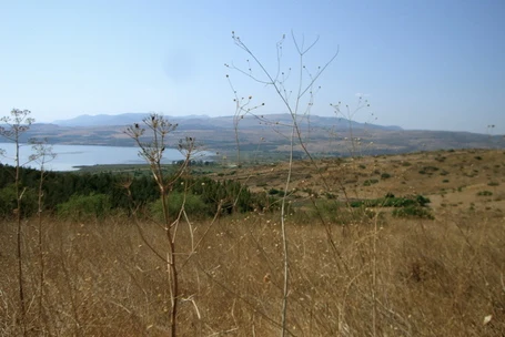 View of the Sea of Galilee (Kinneret) from the Golan Heights View of the Sea of Galilee (Kinneret) from the Golan Heights