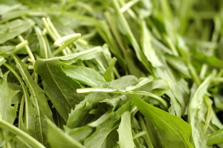 Campo dei Fiori Market, Rome, Italy