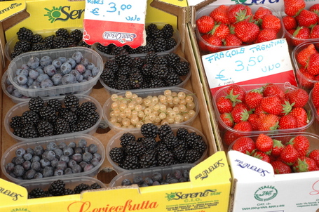 Blueberries, blackberries, white currants, and strawberries