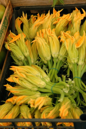 Zucchini Blossoms