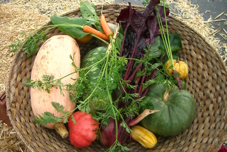 Produce at South 47 Farm in Redmond, WA