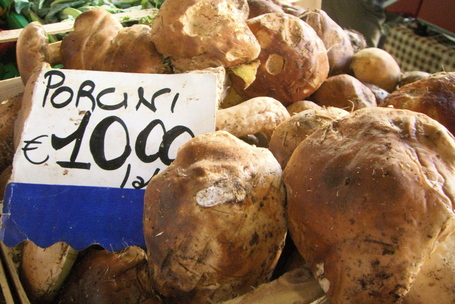 Porcini at the market in Florence, Italy
