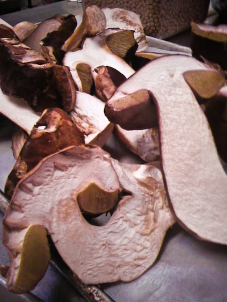 Fresh Porcini in Italy and Seattle!