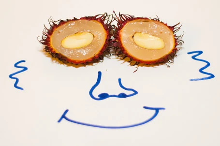 How Many Rams Could a Rambutan Tan if a Rambutan Could Tan Rams?