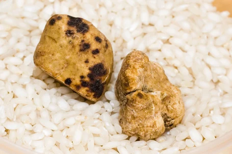 Four. Thousand. Dollars. A. Pound.