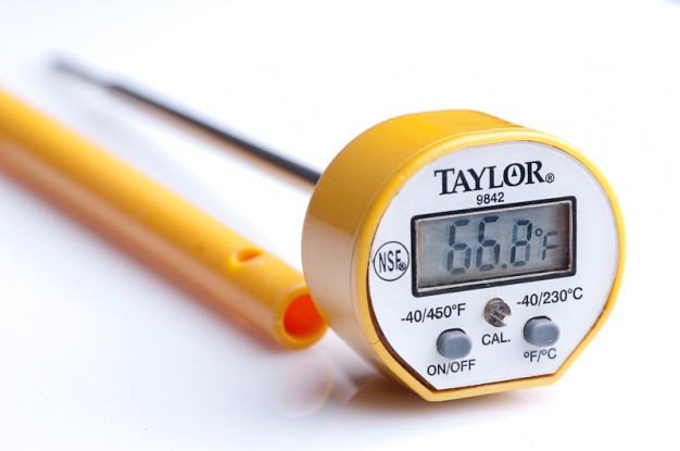 Why an instant read thermometer is a must-have kitchen tool