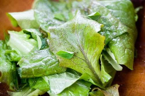 Lemon-Mustard Vinaigrette - The Simplest and Best Salad Dressing - Recipe