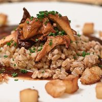 Farro_Chanterelle_Apple_Small