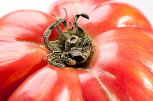 Vintage Wine Heirloom Tomato Closeup